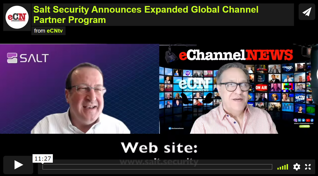 Salt Security Announces Expanded Global Channel Partner Program